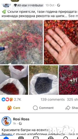 билки чай сок от бъз шипки подправки, снимка 2 - Домашни продукти - 46575710