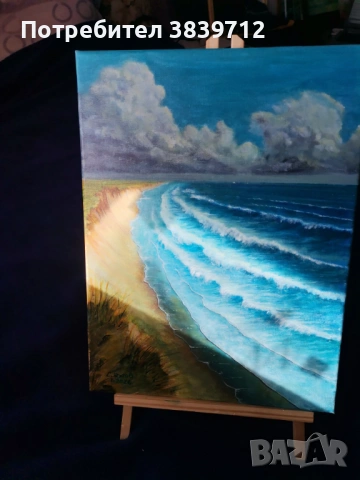 Крайбрежни вълни, снимка 4 - Картини - 53663713