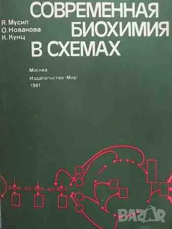 Современная биохимия в схемах, снимка 1 - Специализирана литература - 47164333