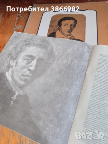 (Balkan Ton)Само 3а Ценители: 3 Стари Грамофонни Плочи На Шопен, снимка 8 - Грамофонни плочи - 51136501