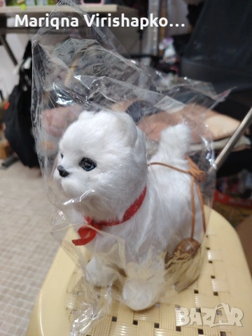 продавам музикално, ходещо котенце. 