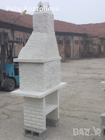 Голямо барбекю , снимка 3 - Барбекюта - 53872660