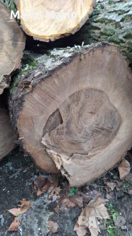 Орехова дървесина , снимка 6 - Други - 52591216