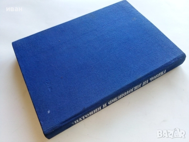 Анатомия и Физиология на Човека - Соломон Илич Галперин - 1979г., снимка 6 - Учебници, учебни тетрадки - 52804375