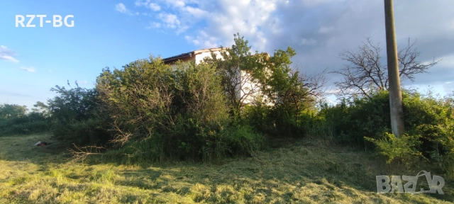 Почистване, косене, подкастряне, подръжка на терени, снимка 13 - Почистване на домове - 51525327