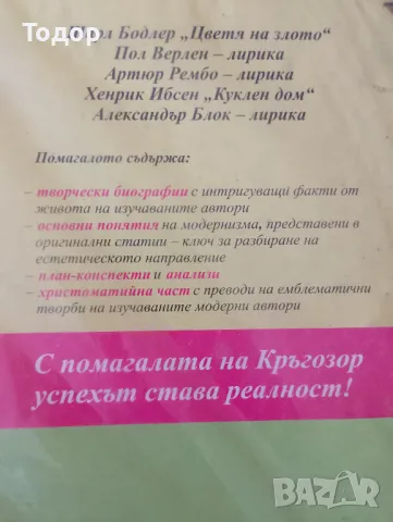 Пишете за отличен Модернизъм - литературни анализи 10. клас Йордан Ефтимов, снимка 2 - Други - 47493390