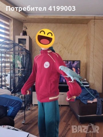 Продавам папагал вид Малък Александър + клетката