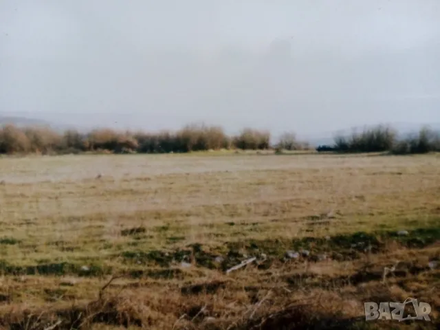 Продавам 3 дка земеделска земя-15 000 € 