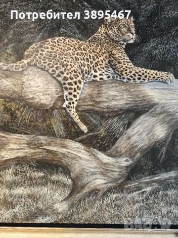 Маслена творба върху платно "Леопард върху дърво", снимка 6 - Картини - 45916309