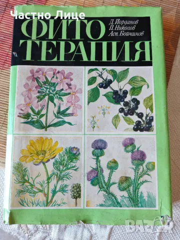 Лечебна Книга Фитотерапия Автори Йорданов, Николов Бойчинов- 1973 г, снимка 1 - Специализирана литература - 48402000