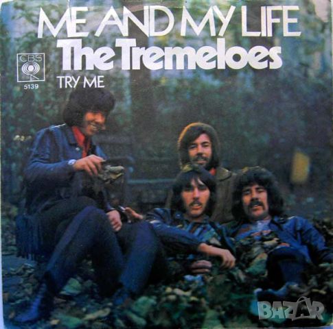 Грамофонни плочи The Tremeloes – Me And My Life 7" сингъл, снимка 1 - Грамофонни плочи - 45464109