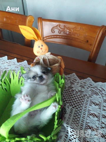 Великденска Супер Изгодна Цена