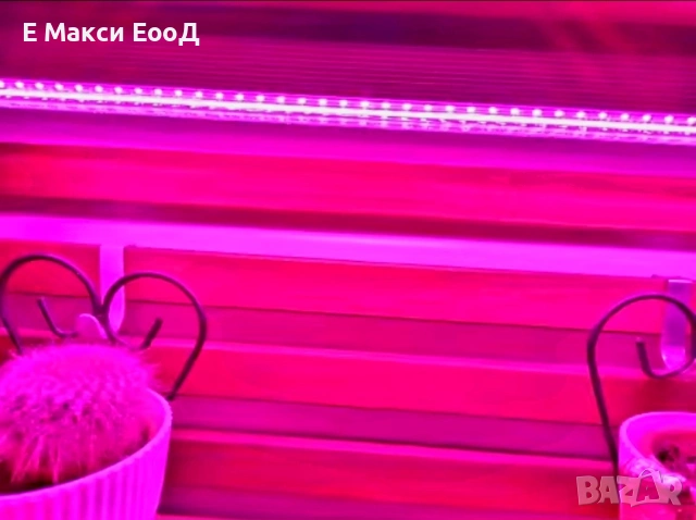 Лампа за бърз растеж Фито лампа Растения Лед Осветление Разсад Лепило Стелаж, снимка 3 - Оранжерии - 35718119