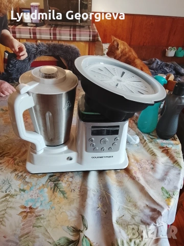 Gourmetmax, кухненски робот , снимка 6 - Кухненски роботи - 53618700