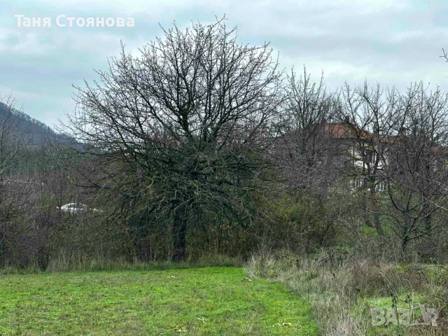 Земеделска земя с. Аспарухово, снимка 3 - Земеделска земя - 40564449