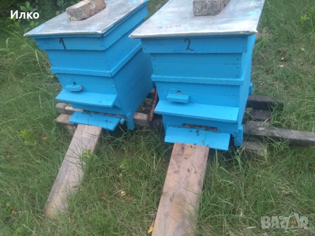 Пчелни кошери , снимка 4 - За пчели - 51451671