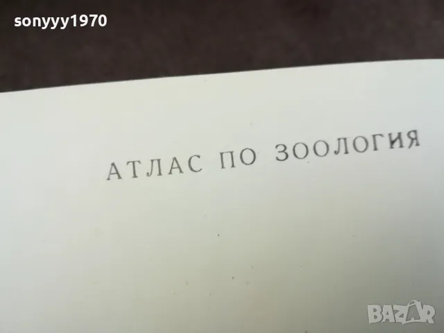 АТЛАС ПО ЗООЛОГИЯ 1974 1002250452, снимка 11 - Специализирана литература - 49049525