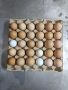 Продавам яйца, снимка 1 - Кокошки и пуйки - 45172987