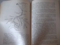 Книга "Пътеводител на въдичаря - П. Орешаров" - 180 стр., снимка 6