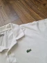 Страхотна мъжка тениска LACOSTE размер XL, снимка 4
