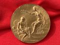 Медал Международно изложение Париж Франция 1910 г. ?, снимка 8