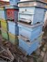 Пчелни кошери, ДБ-12 рамкови, в комплект с по 1 магазин, снимка 5