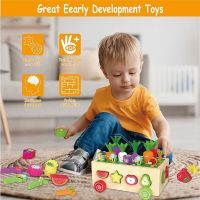 Montessori дървени играчки - за развитие, подходящи за деца от 2 до 4г, снимка 5 - Образователни игри - 45132211