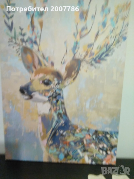 Еленче, снимка 1