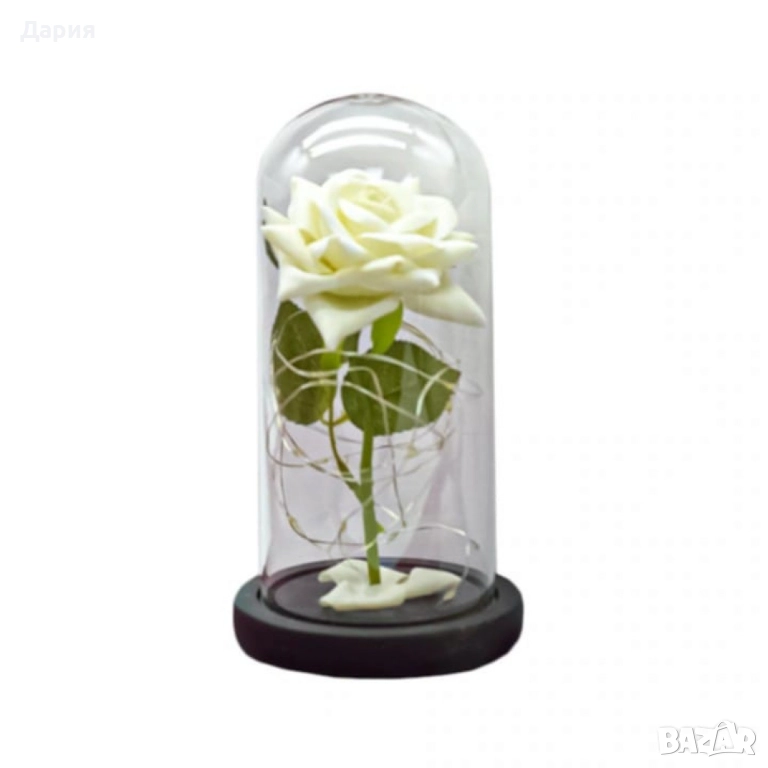 Бяла роза под стъклен купол - Вечна елегантност, снимка 1