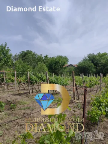 Къща в село Златна Ливада общ. Чирпан, снимка 11 - Къщи - 50440828