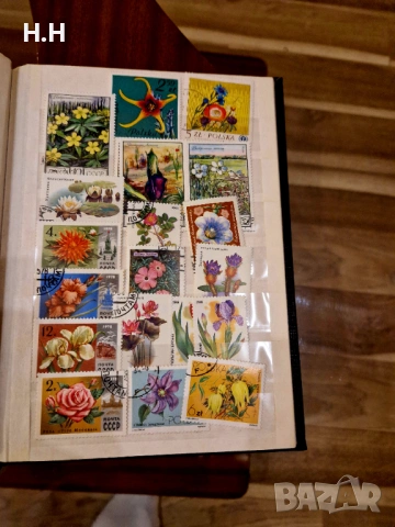 Колекционерски марки, снимка 7 - Филателия - 54195934
