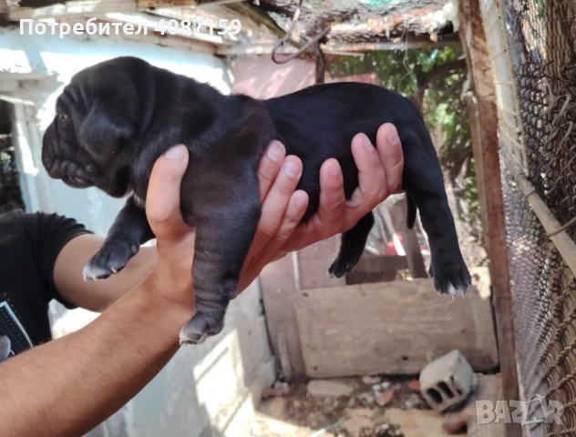 Продава се , снимка 1