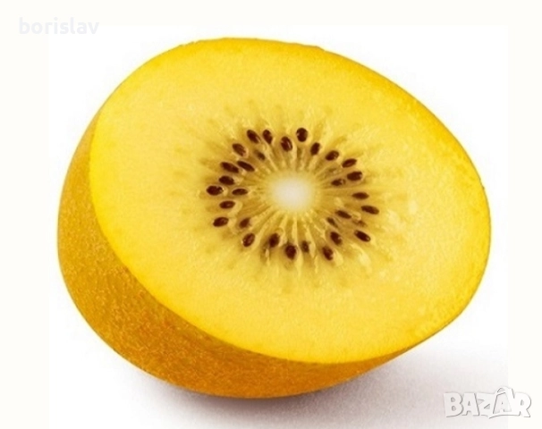 Кивита сортове Хейуърд, Томури, Златно киви, Самоопрашващо, снимка 4 - Градински цветя и растения - 42370160