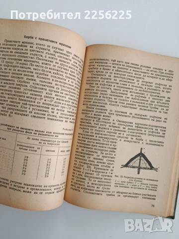 Агротехника на овощните култури, снимка 3 - Специализирана литература - 52466931