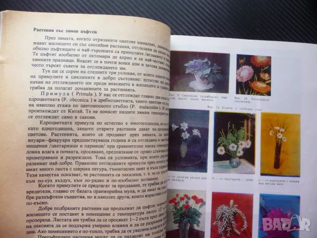 Книга за всеки ден и всеки дом Домакинска енциклопедия хране спорт деца къща интериор обзавеждане, снимка 2 - Други - 50049326