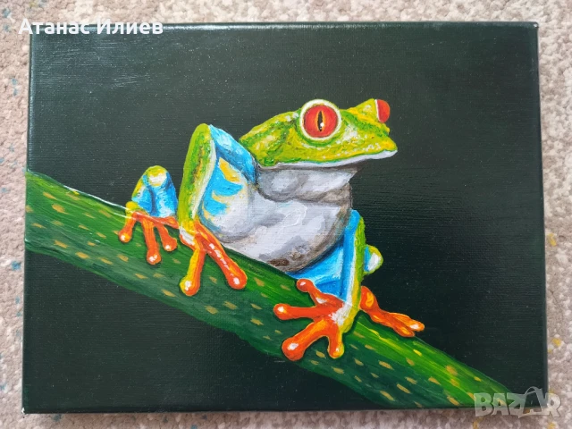 Красива картина на жаба, снимка 3 - Картини - 50783482