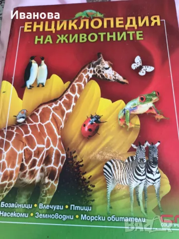 книги, снимка 5 - Детски книжки - 49519680