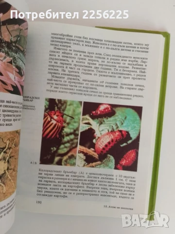 Атлас по зоология, снимка 9 - Специализирана литература - 51166042