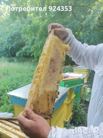 Пчелни отводки Дадан Блат