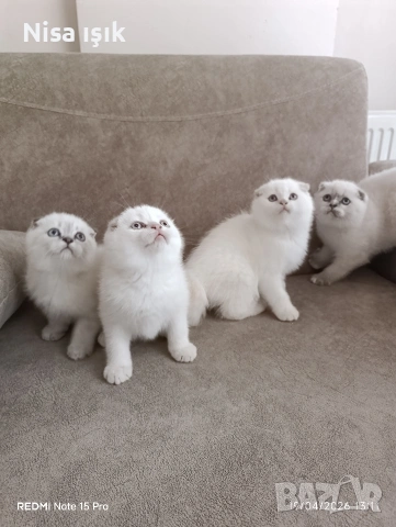 побързайте за да спинкаме до главичката ви в Хасково