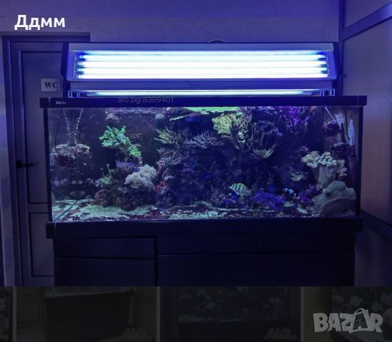 Професионално осветление за соленводен / морски аквариум , снимка 2 - Оборудване за аквариуми - 45778598