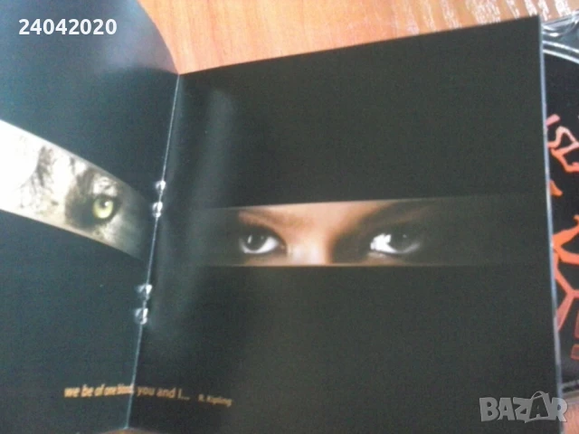 Ruslana – Wild Dances оригинален диск, снимка 2 - CD дискове - 51400255