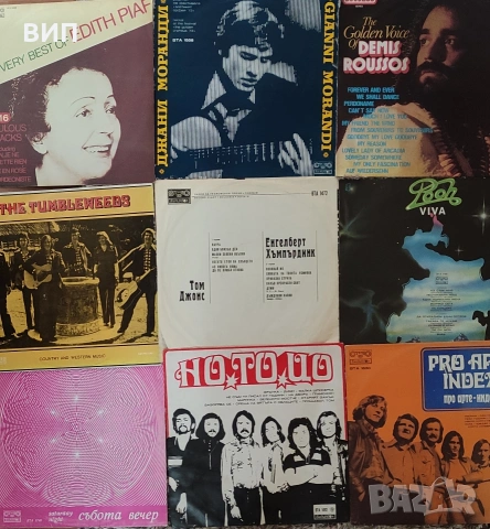 Грамофонни плочи-популярни изпълнители, снимка 9 - Грамофонни плочи - 53857795
