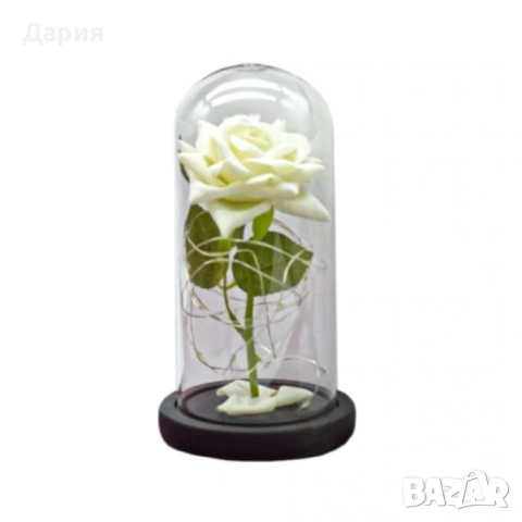 Бяла роза под стъклен купол - Вечна елегантност