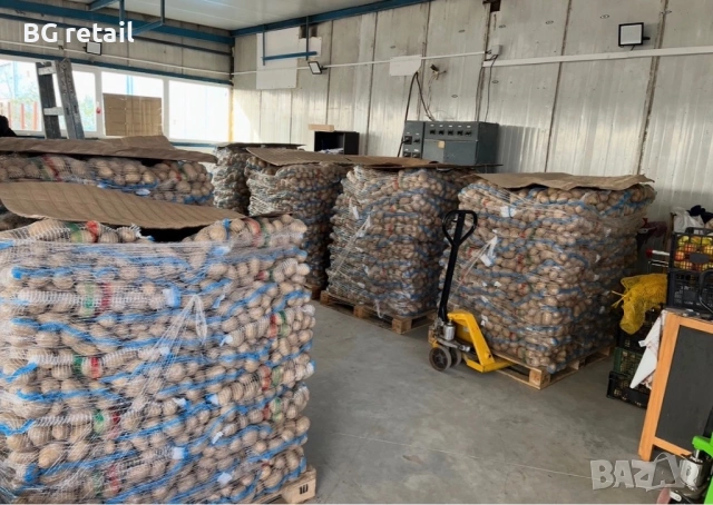 🥔✨ ПРОДАЖБА НА КАРТОФ! ✨🥔, снимка 3 - Домашни продукти - 43791892