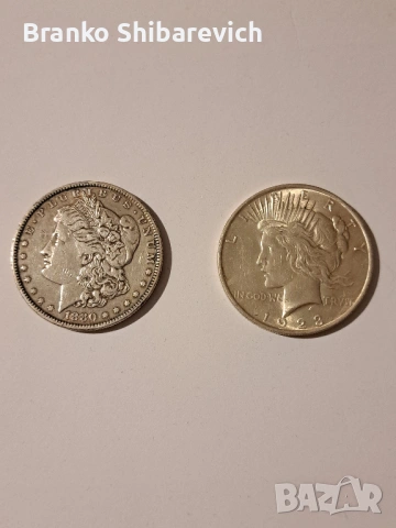 Лот от Morgan и Peace dollar , снимка 2 - Нумизматика и бонистика - 53968941