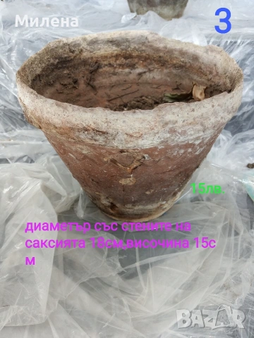 Саксии, снимка 3 - Саксии и кашпи - 53650030