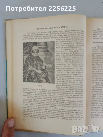 Физиология на човека, снимка 9 - Специализирана литература - 47319396