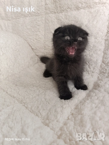 не е красива просто е униклана