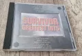 Компакт Дискове - Рок-Метъл: Survivor - Greatest Hits, снимка 1